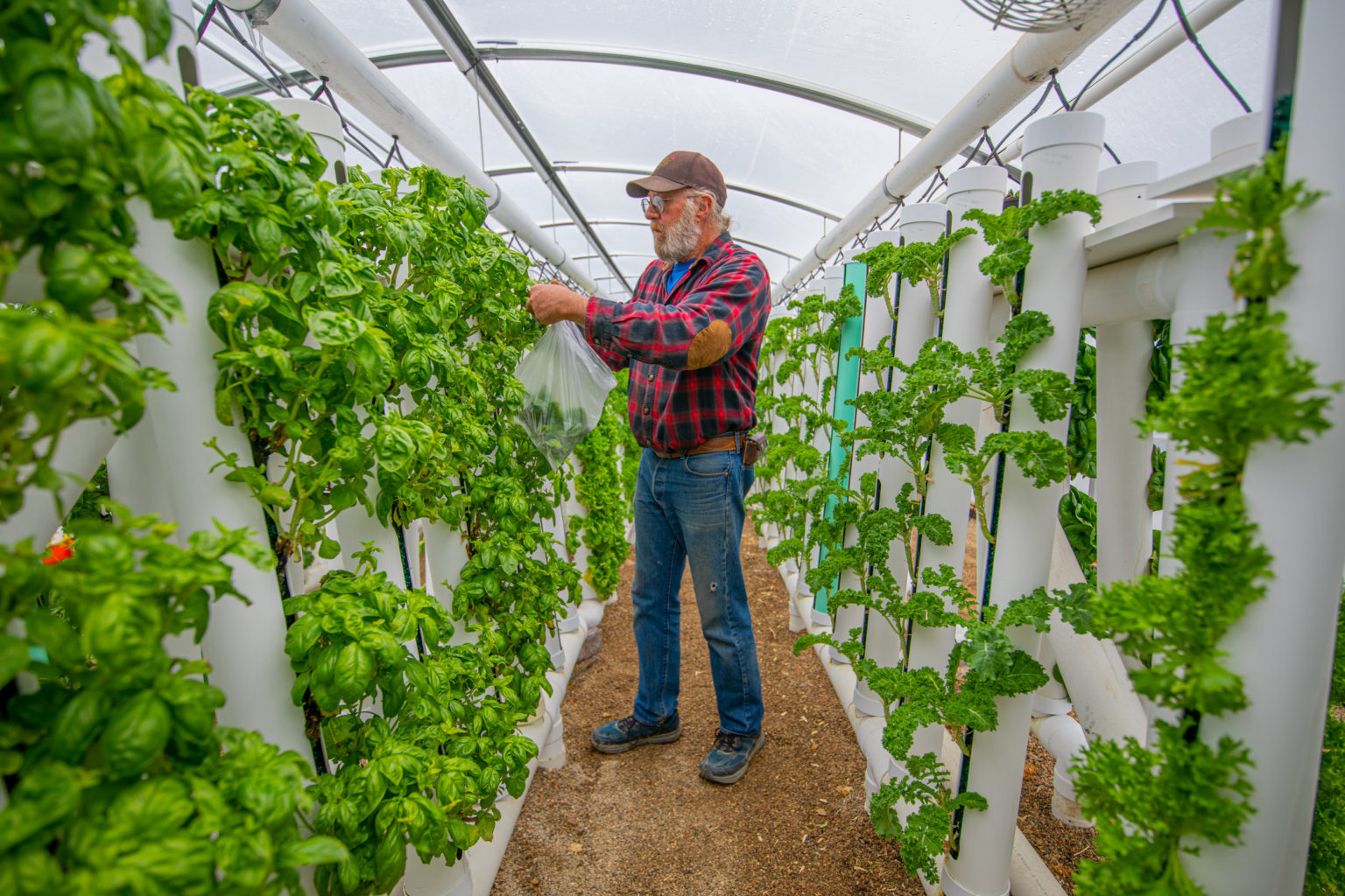 Vertical NFT Hydroponics - Papa Joe's Produce